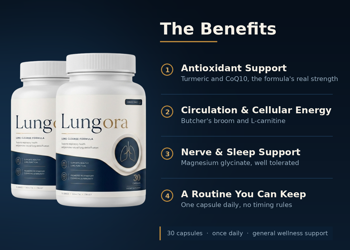 Lungora benefits — antioxidant support, circulation and cellular energy, nerve and sleep support